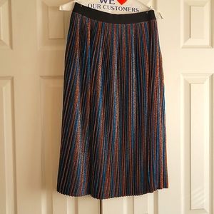 AMAZING Golden Goose Pleated Skirt